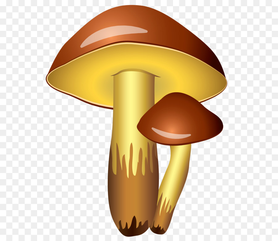 Mushroom Icon Clip art - Mushrooms Transparent PNG Clipart Picture png download - 3635*4360 - Free Transparent Mario png Download.