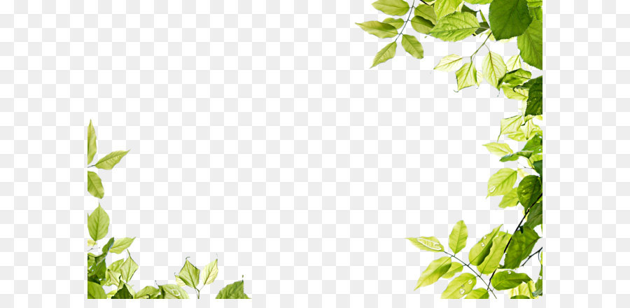 Leaf Clip art - Green leaves frame PNG png download - 3500*2300 - Free Transparent Leaf png Download.