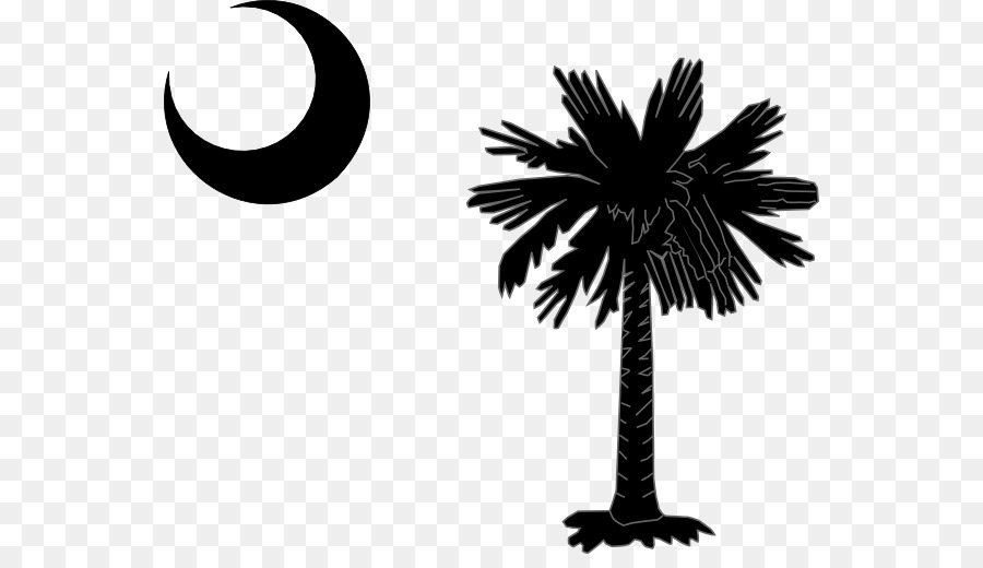 Flag of South Carolina Sabal Palm Flag of North Carolina State flag - others png download - 600*507 - Free Transparent South Carolina png Download.