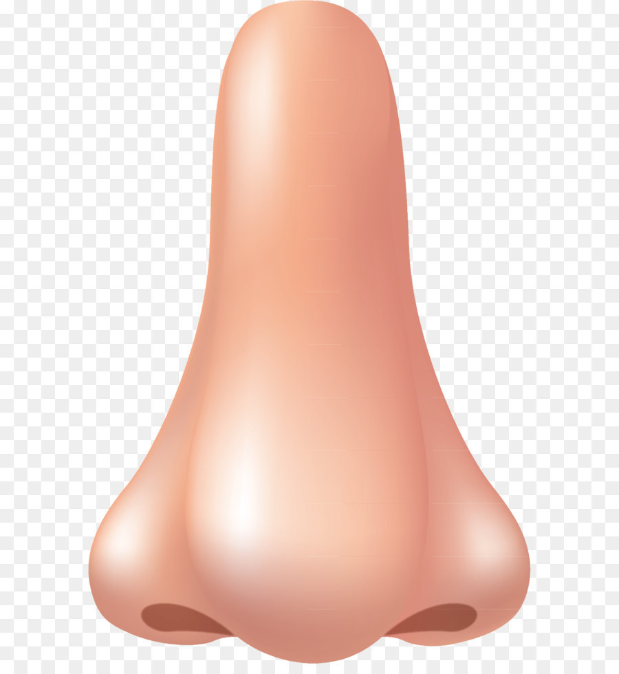 Nose Peach Design Product - Human nose PNG png download - 1191*1775 - Free Transparent  png Download.