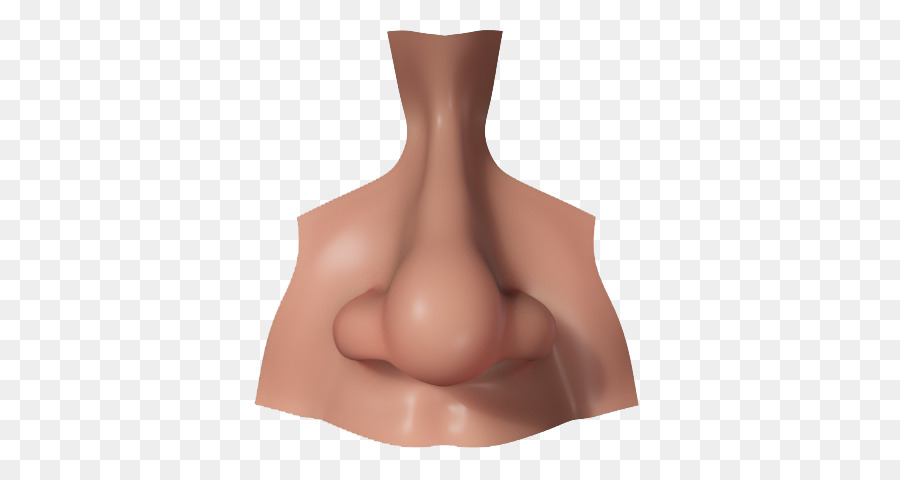 Human nose 3D computer graphics CGTrader 3D modeling - Nose PNG Picture png download - 640*480 - Free Transparent  png Download.