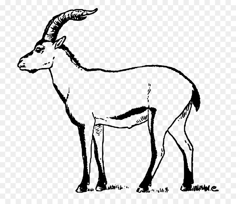 Alpine ibex Anglo-Nubian goat Pyrenean ibex Portuguese ibex Clip art - others png download - 768*768 - Free Transparent Alpine Ibex png Download.