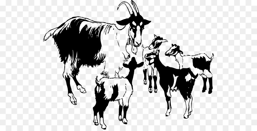 Boer goat Black Bengal goat Anglo-Nubian goat T-shirt Nigerian Dwarf goat - T-shirt png download - 600*455 - Free Transparent Boer Goat png Download.