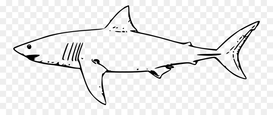 Great white shark Shark Jaws Drawing Clip art - shark png download - 2555*1036 - Free Transparent Shark png Download.