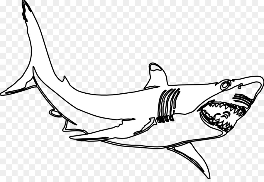 Great white shark Black and white Clip art - Hammerhead Shark Clipart png download - 999*677 - Free Transparent Shark png Download.