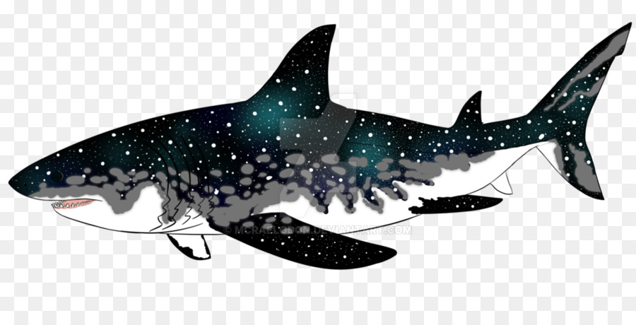 Megalodon Requiem sharks Animal Marine biology - shark png download - 1278*625 - Free Transparent Megalodon png Download.
