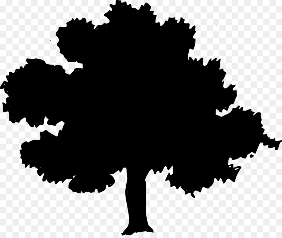 Northern Red Oak Tree Clip art - tamarind png download - 1280*1070 - Free Transparent Northern Red Oak png Download.