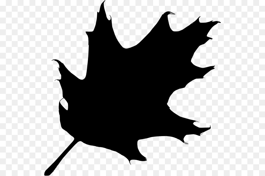 Oak Silhouette Tree Clip art - black leaf png download - 600*599 - Free Transparent Oak png Download.