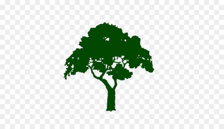 Logo Tree Oak - tree png download - 512*512 - Free Transparent Logo png Download.