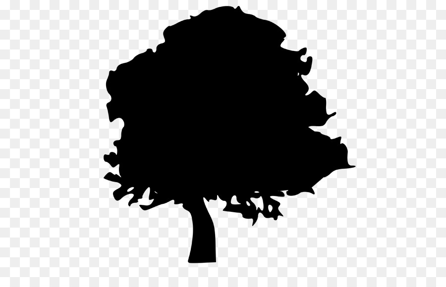 Tree Silhouette Northern Red Oak Clip art - tree png download - 558*566 - Free Transparent Tree png Download.
