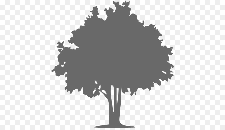 Computer Icons The Tree Doctor Vector graphics Oak - tree png download - 512*512 - Free Transparent Computer Icons png Download.