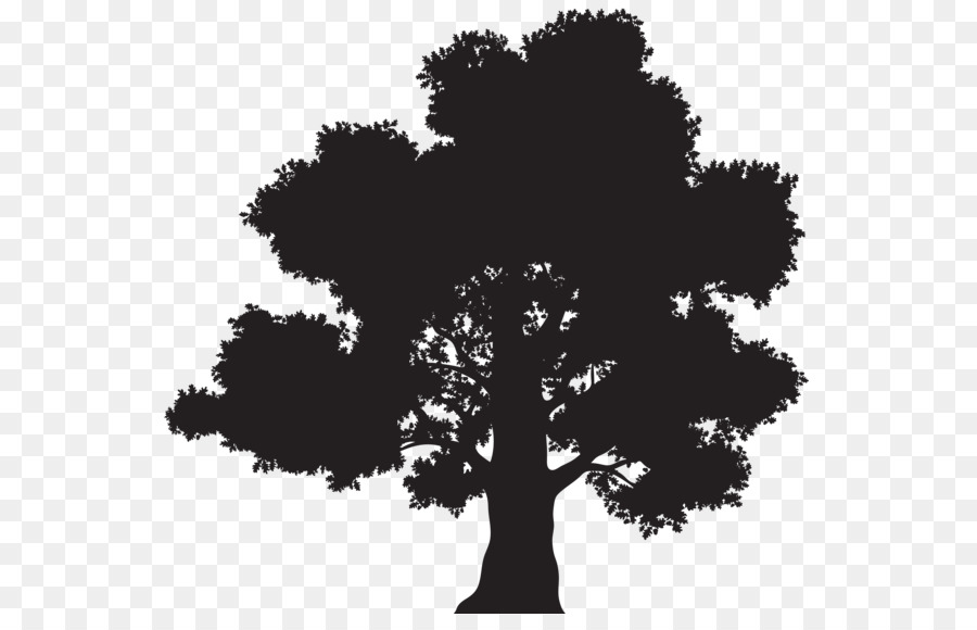 Oak Tree Leaf - tree png download - 600*565 - Free Transparent Oak png Download.