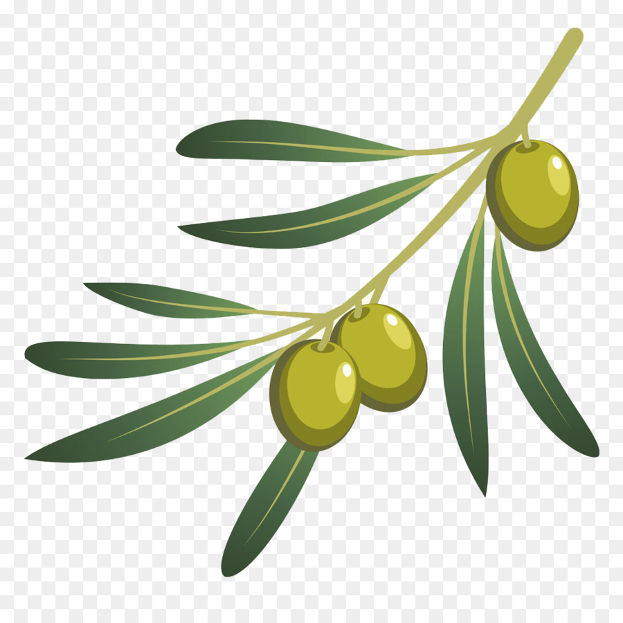 Olive oil Olive branch - Olives png download - 1000*1000 - Free Transparent Olive png Download.