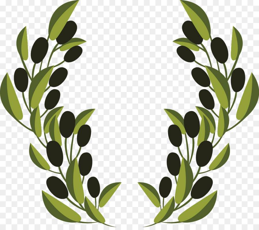 Olive branch Clip art - Vector olive branch decoration png download - 1114*978 - Free Transparent Olive Branch png Download.