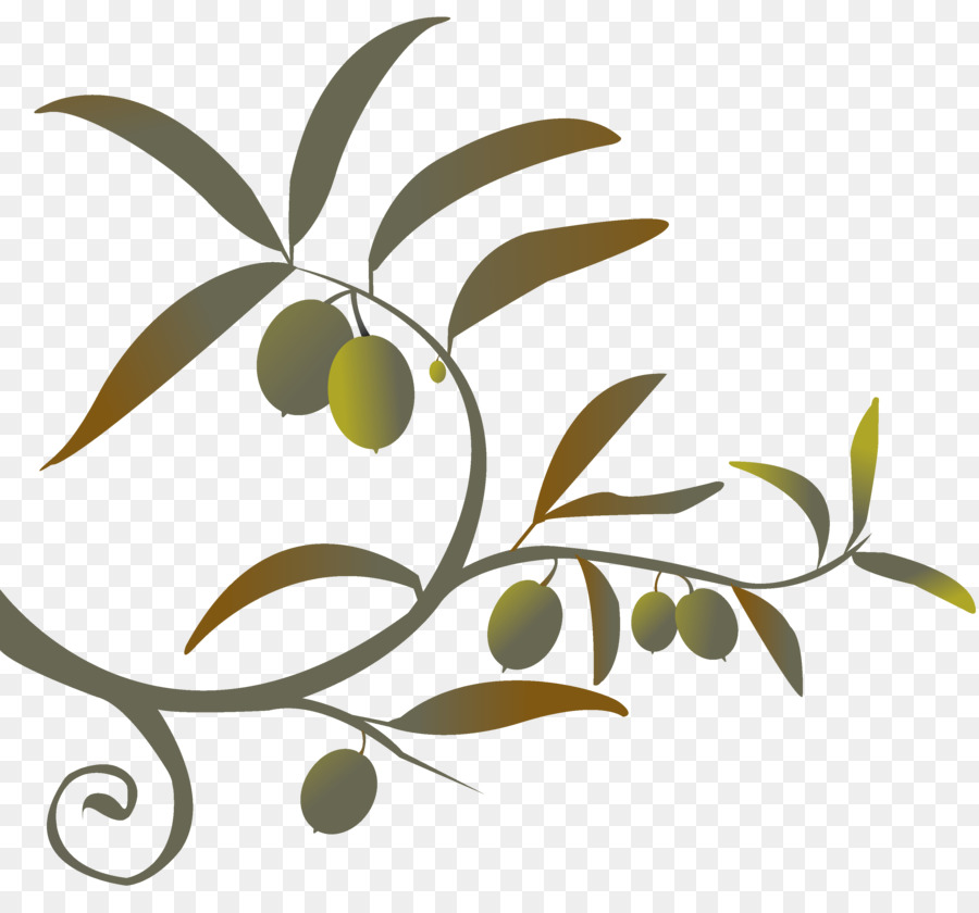 Olive branch Clip art - olive png download - 3306*3030 - Free Transparent Olive Branch png Download.
