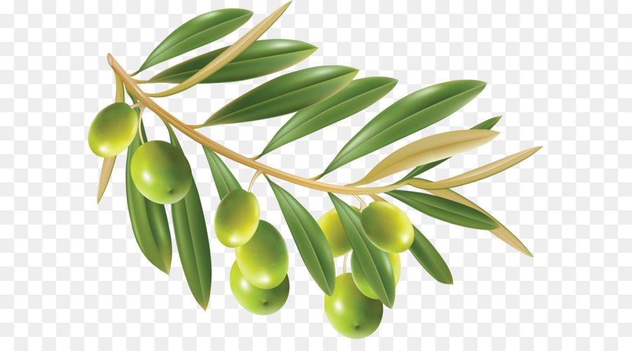 Olive oil Clip art - Olive PNG png download - 3504*2606 - Free Transparent Olive png Download.
