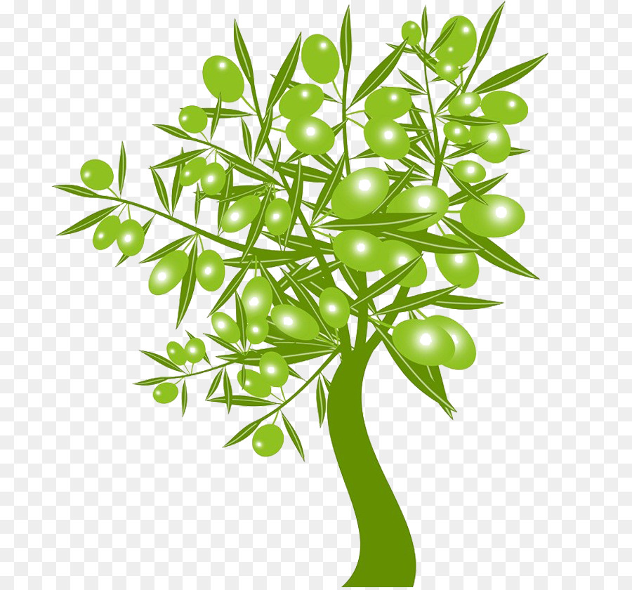 Olive Stock photography Clip art - Olive tree download png download - 836*836 - Free Transparent Olive png Download.