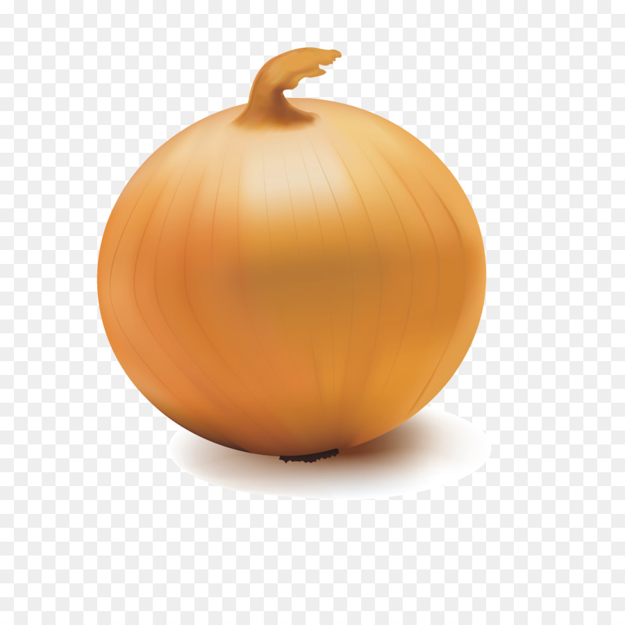 Pumpkin Calabaza Onion Vegetable - Delicious Onion png download - 2917*2917 - Free Transparent Pumpkin png Download.