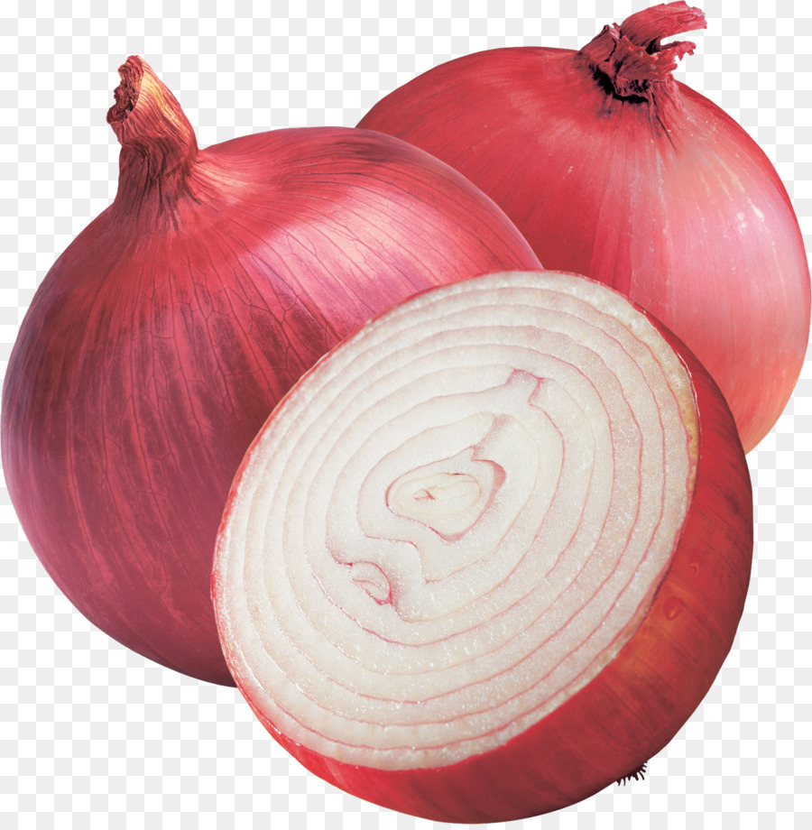 India Shallot Red onion Vegetable Yellow onion - beet png download - 1532*1556 - Free Transparent India png Download.
