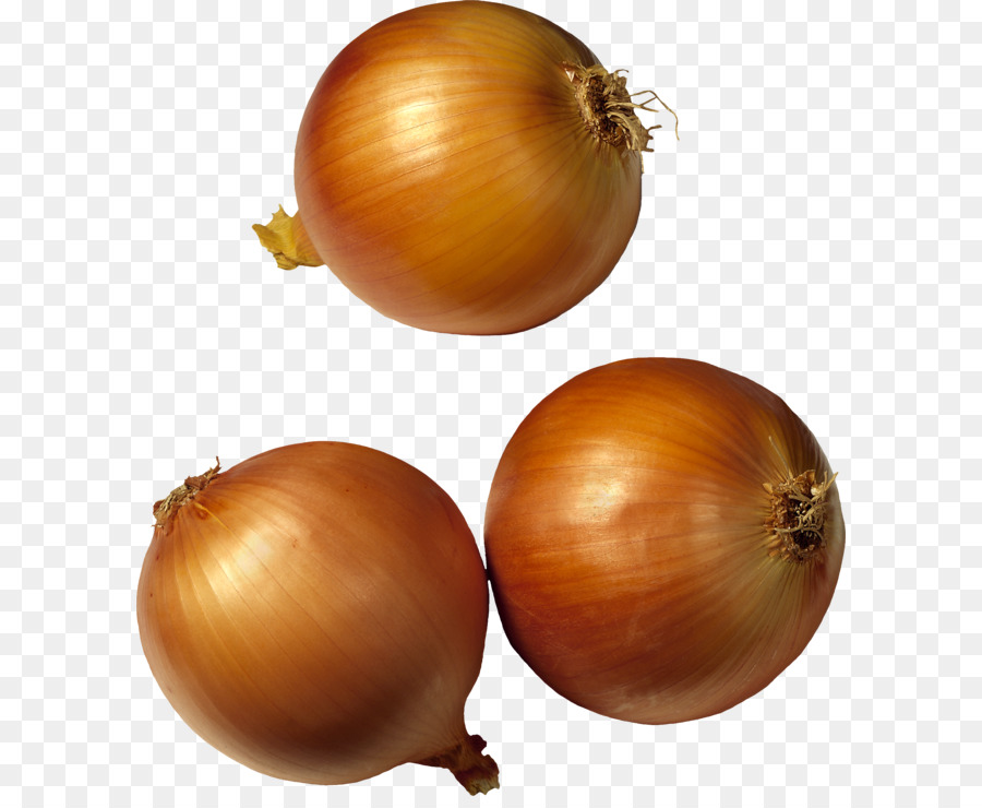 French onion soup Red onion Pickled onion - Onion PNG image png download - 2062*2312 - Free Transparent Shallot png Download.