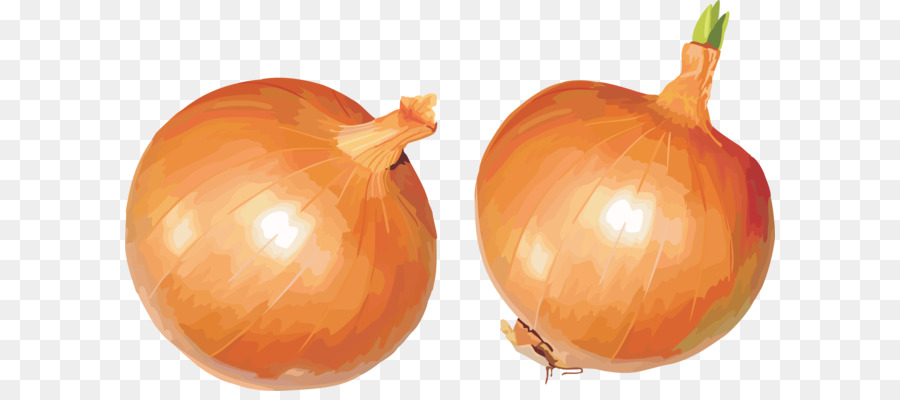 Yellow onion Shallot Calabaza Vegetarian cuisine Pumpkin - Onion PNG image png download - 3470*2086 - Free Transparent Onion png Download.