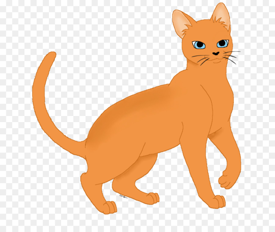 Whiskers Kitten Domestic short-haired cat Lion - kitten png download - 978*816 - Free Transparent Whiskers png Download.
