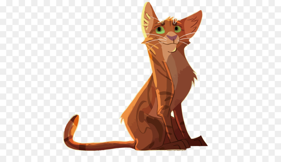 Kitten Whiskers Cat Illustration - Vector Orange Cat png download - 1500*844 - Free Transparent Kitten png Download.