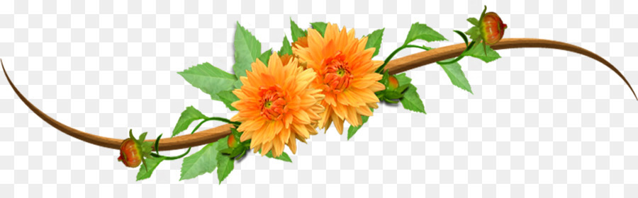 No Orange Clip art - Twining vines orange flowers png download - 1117*326 - Free Transparent Flower png Download.