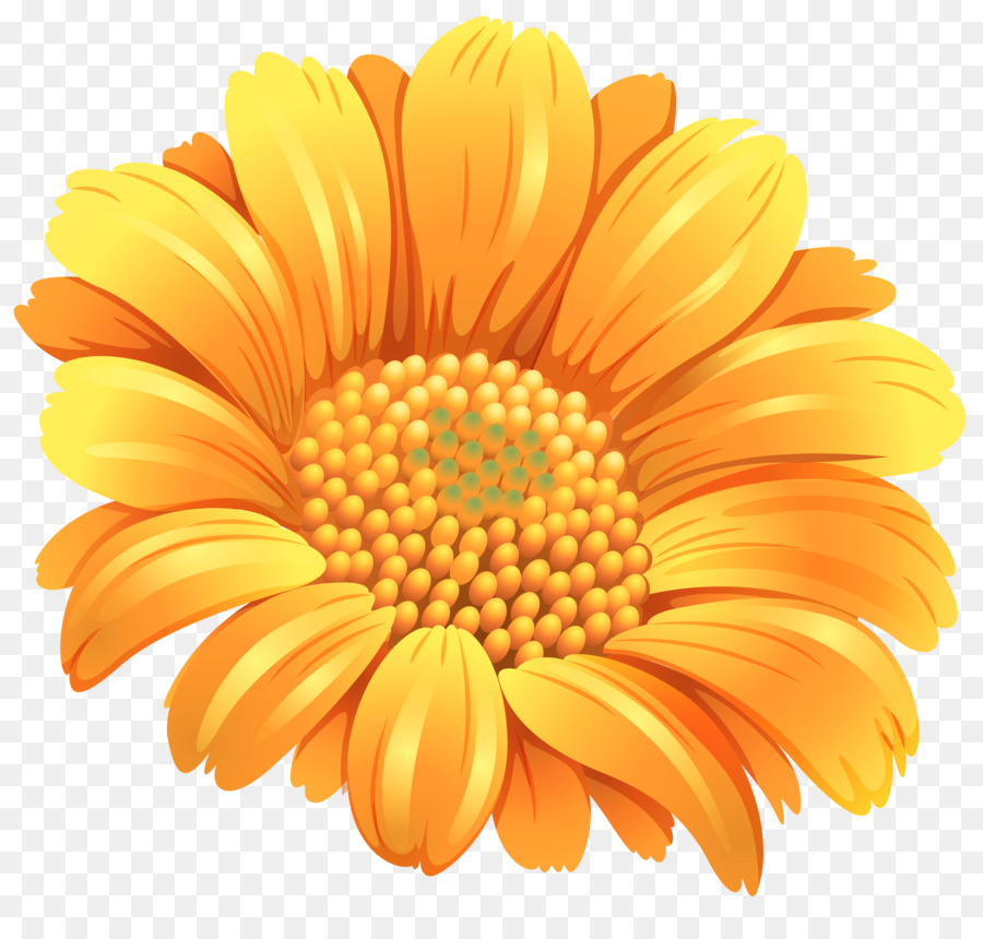 Flower Orange Common daisy Clip art - orange flower png download - 5130*4807 - Free Transparent Flower png Download.