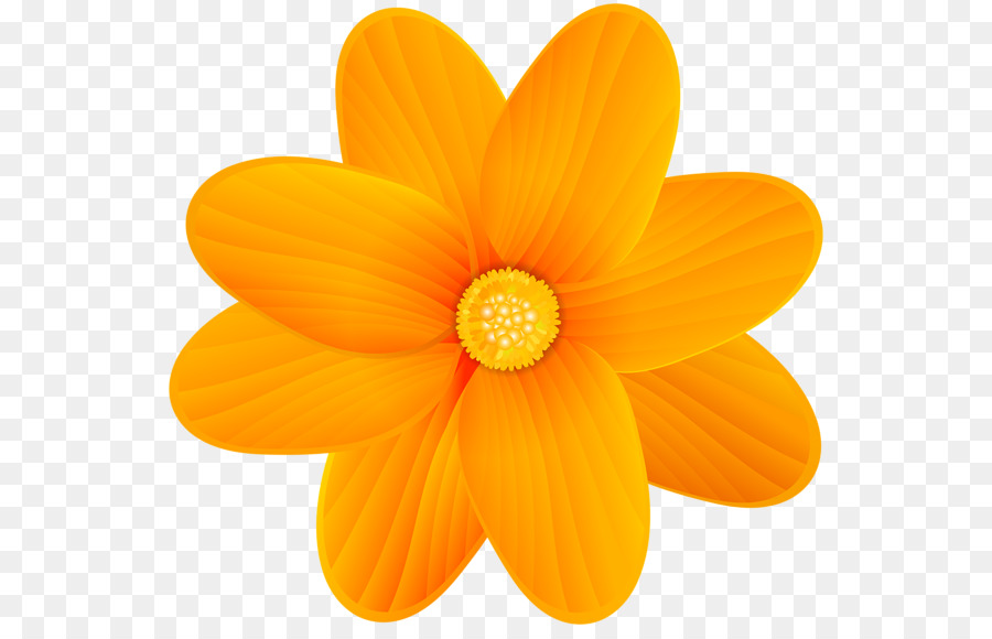 Flower Yellow Clip art - orange flower png download - 600*570 - Free Transparent Flower png Download.