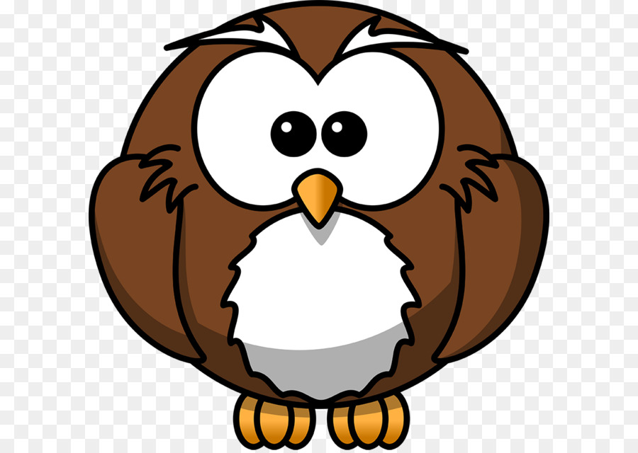 Owl Cartoon Drawing Animation - Owl PNG png download - 905*886 - Free Transparent Owl png Download.