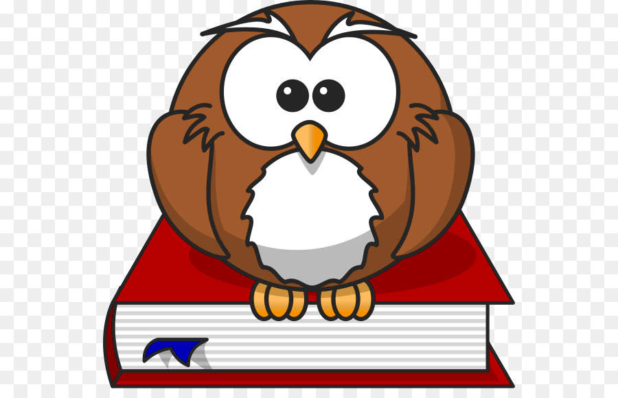 Baby Owls Cartoon Clip art - Teacher Cliparts Transparent png download - 600*566 - Free Transparent Owl png Download.