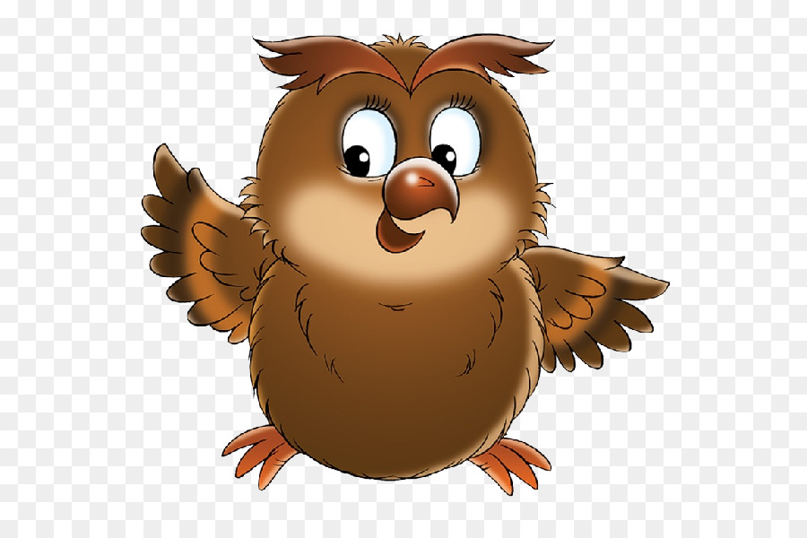 Owl Bird Cartoon Clip art - owls clipart png download - 600*600 - Free Transparent Owl png Download.