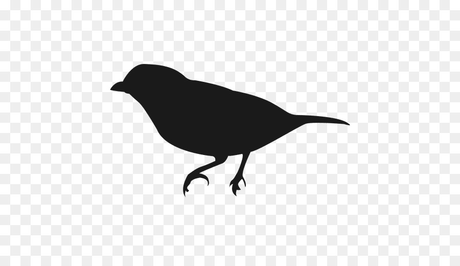 American crow Bird Silhouette Owl - Bird png download - 512*512 - Free Transparent American Crow png Download.