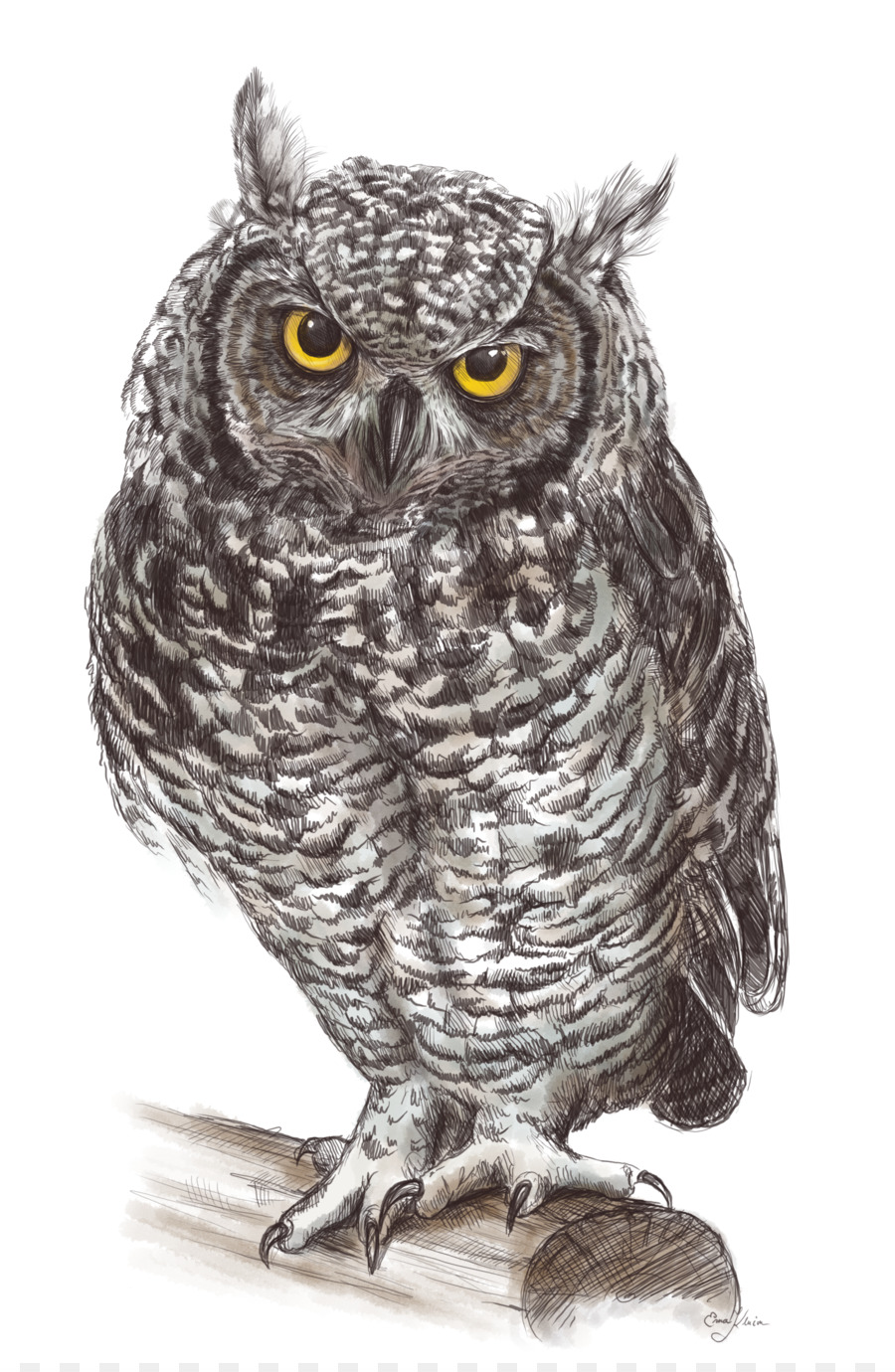 Owl Bird Clip art - owls png download - 1600*2438 - Free Transparent Owl png Download.