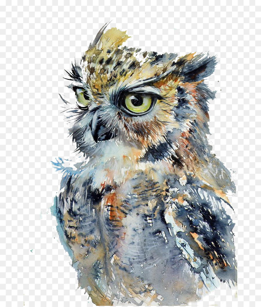 Owl Watercolor painting Drawing Art - Fierce owl png download - 736*1056 - Free Transparent Owl png Download.