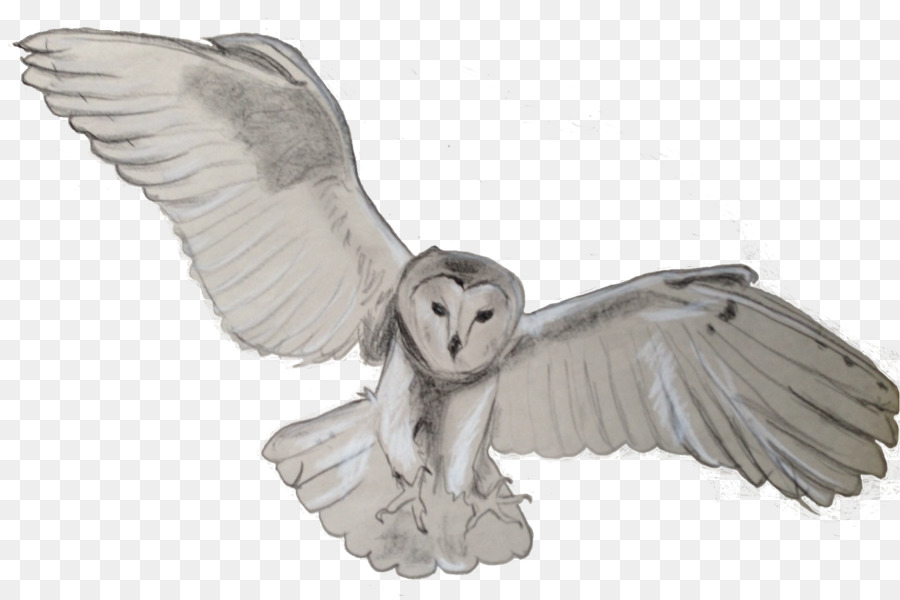 Tawny owl Bird Flight Barn owl - barn png download - 1584*1049 - Free Transparent Owl png Download.
