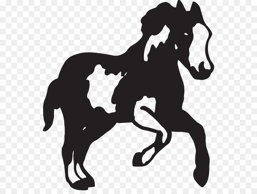 Mustang American Paint Horse Decal Pony Stallion - mustang png download - 600*667 - Free Transparent Mustang png Download.