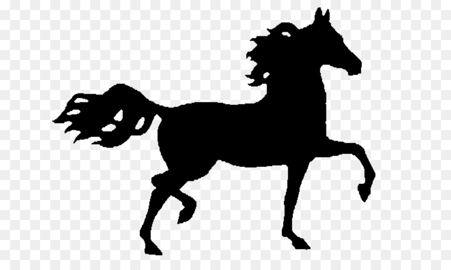 Mustang Arabian horse Nokota horse Stallion American Paint Horse - mustang png download - 800*531 - Free Transparent Mustang png Download.