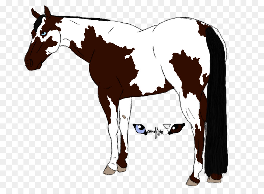American Paint Horse Foal Drawing Clip art - Pictures Of Horse Drawings png download - 900*655 - Free Transparent American Paint Horse png Download.