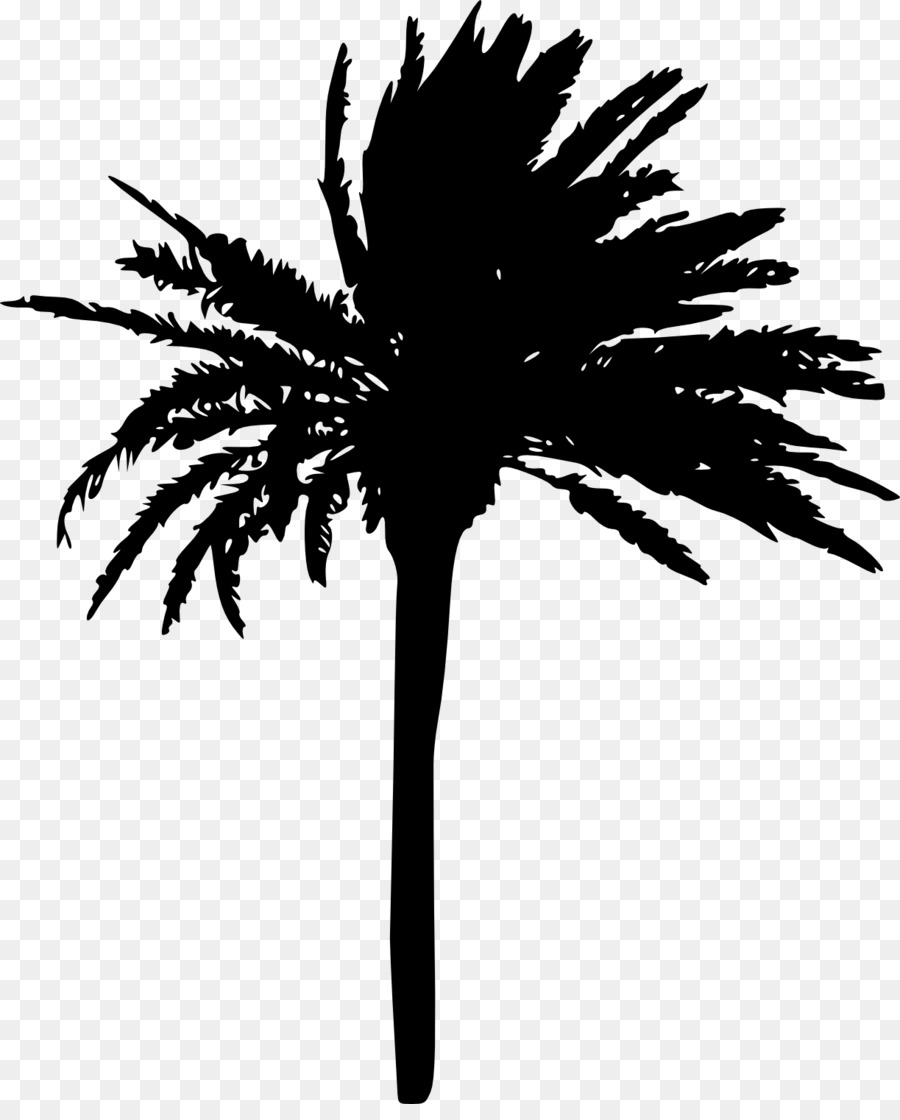 Arecaceae Tree Woody plant Sabal Palm - palm tree png download - 1223*1500 - Free Transparent Arecaceae png Download.