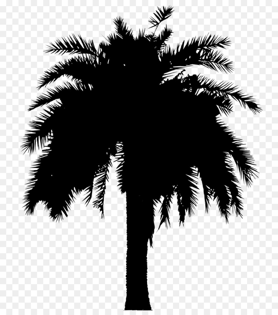 Free Palm Leaf Silhouette, Download Free Palm Leaf Silhouette png ...