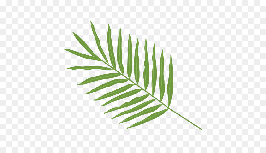 Palma Leaf Arecaceae Clip art - palm leaves png download - 512*512 - Free Transparent Palma png Download.