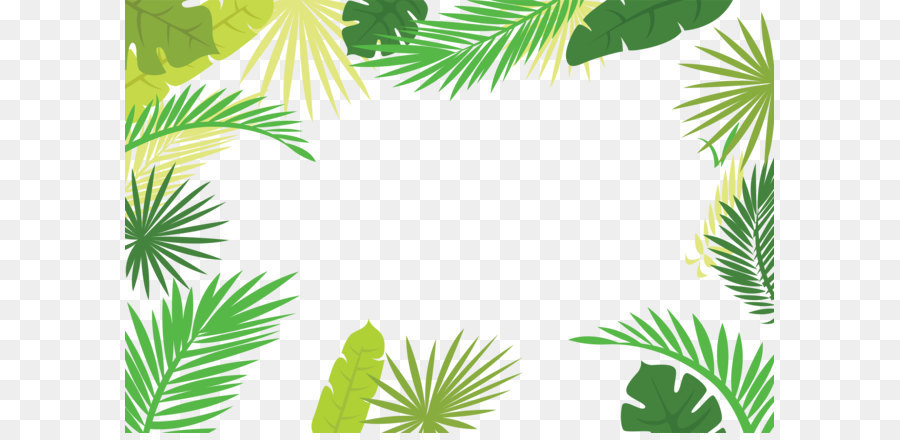 Arecaceae Text Branch Leaf Illustration - Palm leaf border png download - 5000*3334 - Free Transparent Arecaceae png Download.