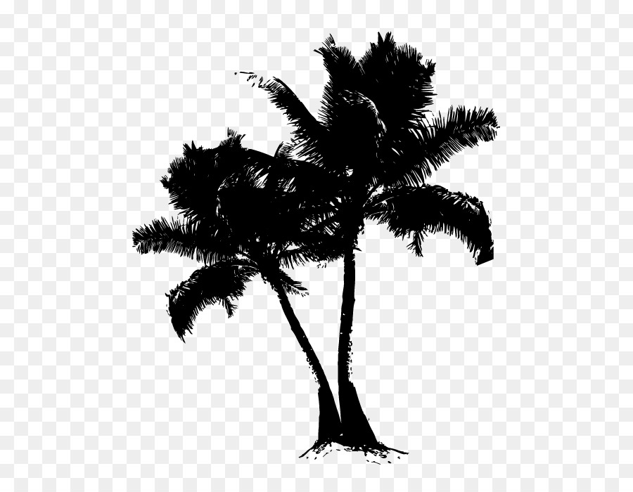 Asian palmyra palm Date palm Silhouette Branching Borassus -  png download - 696*696 - Free Transparent Asian Palmyra Palm png Download.
