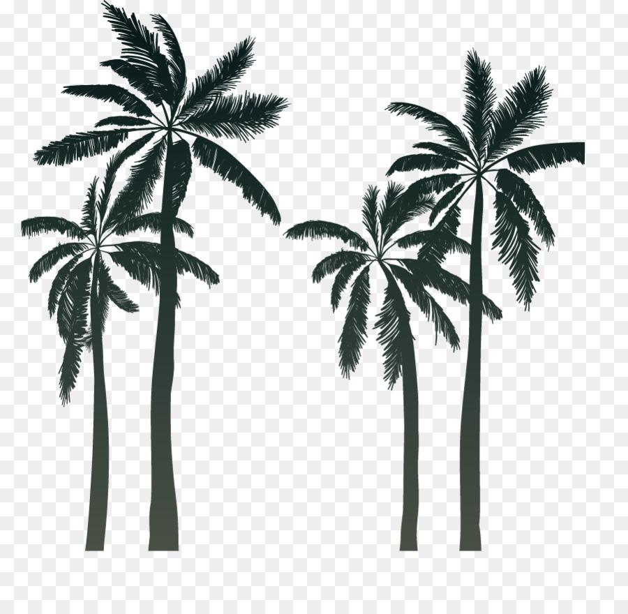 Silhouette Arecaceae Sunset Cartoon - Cartoon palm silhouette summer png download - 901*862 - Free Transparent Silhouette png Download.
