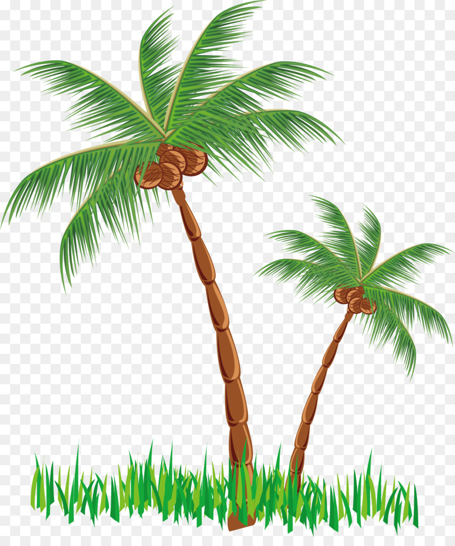 Cattle Hut Clip art - Coconut tree png vector element png download - 1801*2127 - Free Transparent Cattle png Download.