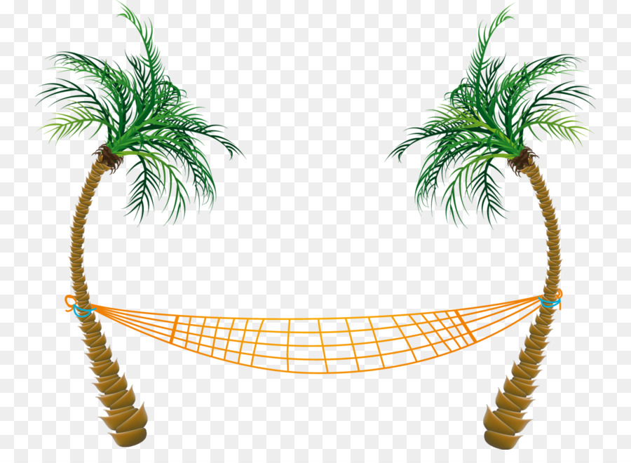 Clip art Palm trees Portable Network Graphics Hammock - tree png download - 800*641 - Free Transparent Palm Trees png Download.