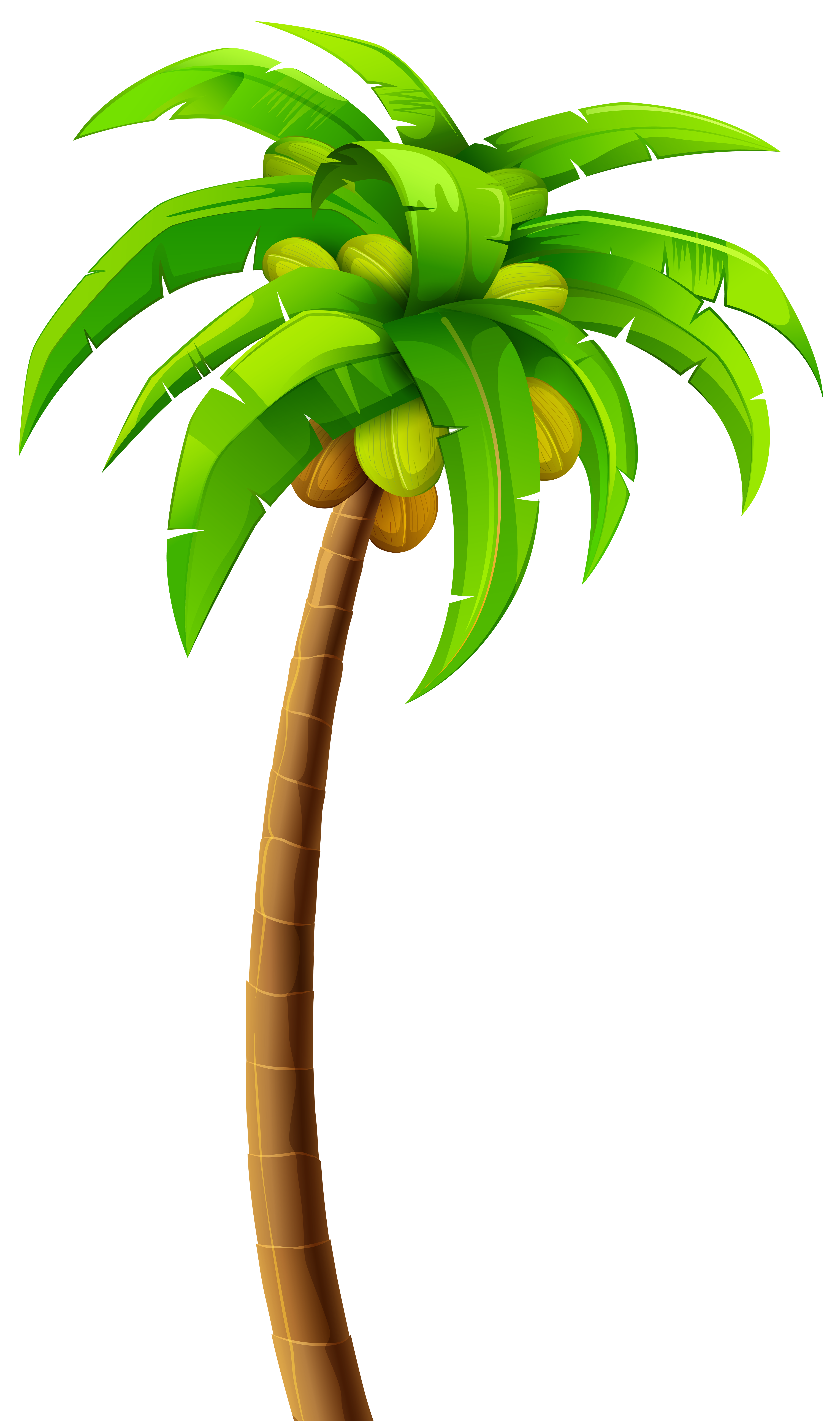 palm tree clip art background