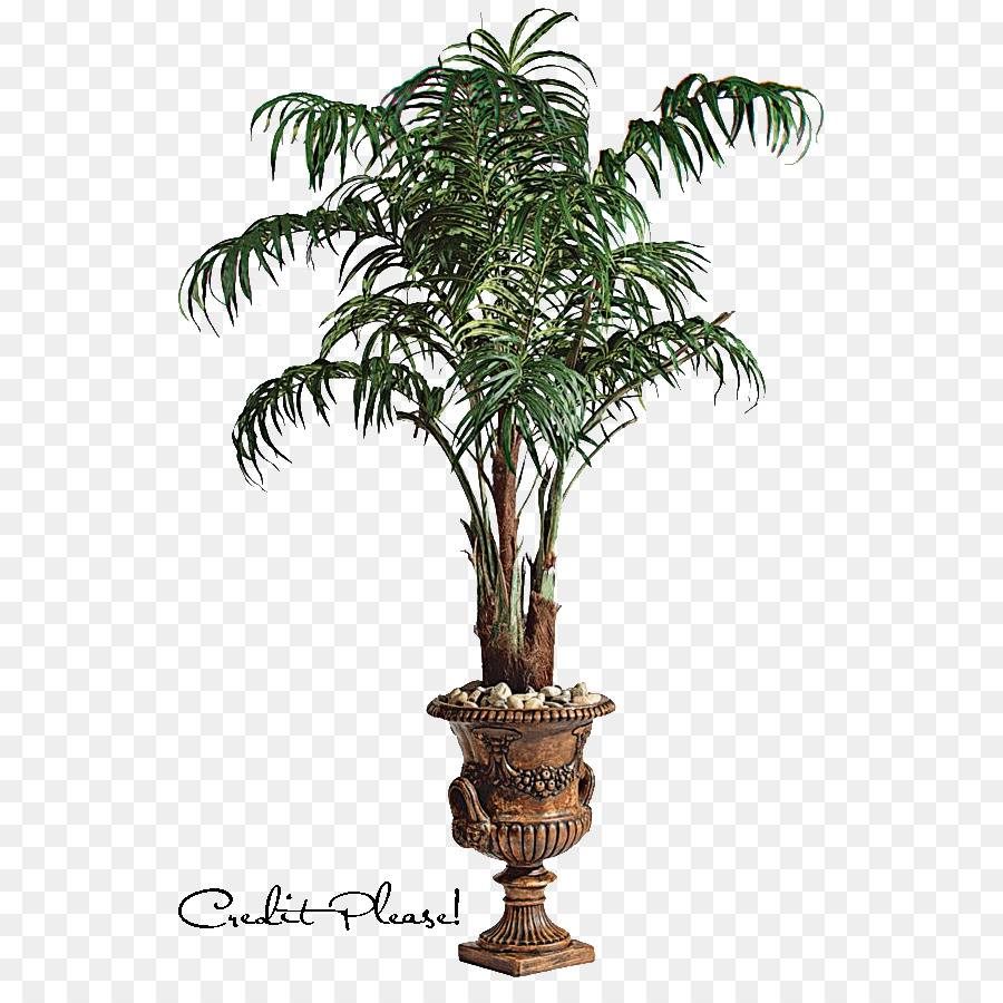 Arecaceae Tree Clip art - Palm Tree Artwork png download - 595*881 - Free Transparent Arecaceae png Download.